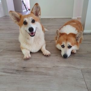 Meet your Posher, Angela